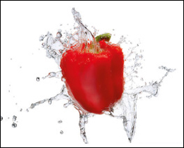 A lovely red pepper with water will look great near any food preparation area. A lovely printed glass kitchen splashback. An artistic printed glass kitchen splashback to set off any food preparation area in your kitchen.
